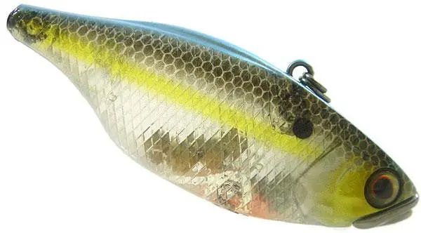 Jackall Tn70 Ll Cb Crankbait – 2.8-Inch Shad Pattern 1