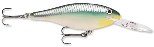 Rapala Shad Rap 2-Inch Lure In Blue Back Herring Color 1
