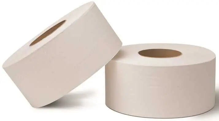 Renown® Junior Jumbo 2-Ply Bath Tissue – 12-Roll Case 1