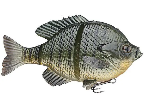 Savage Gear 3D Bluegill Swim Bait – 6-Inch, 3.3–4 Oz Sinking Light Model 1