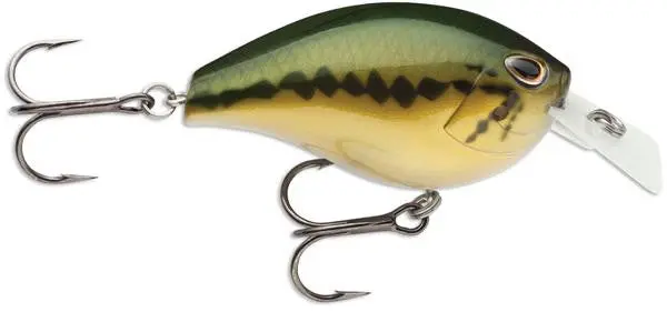Storm Arashi Rattle Square Crankbait – 1.2", Baby Bass Pattern 1